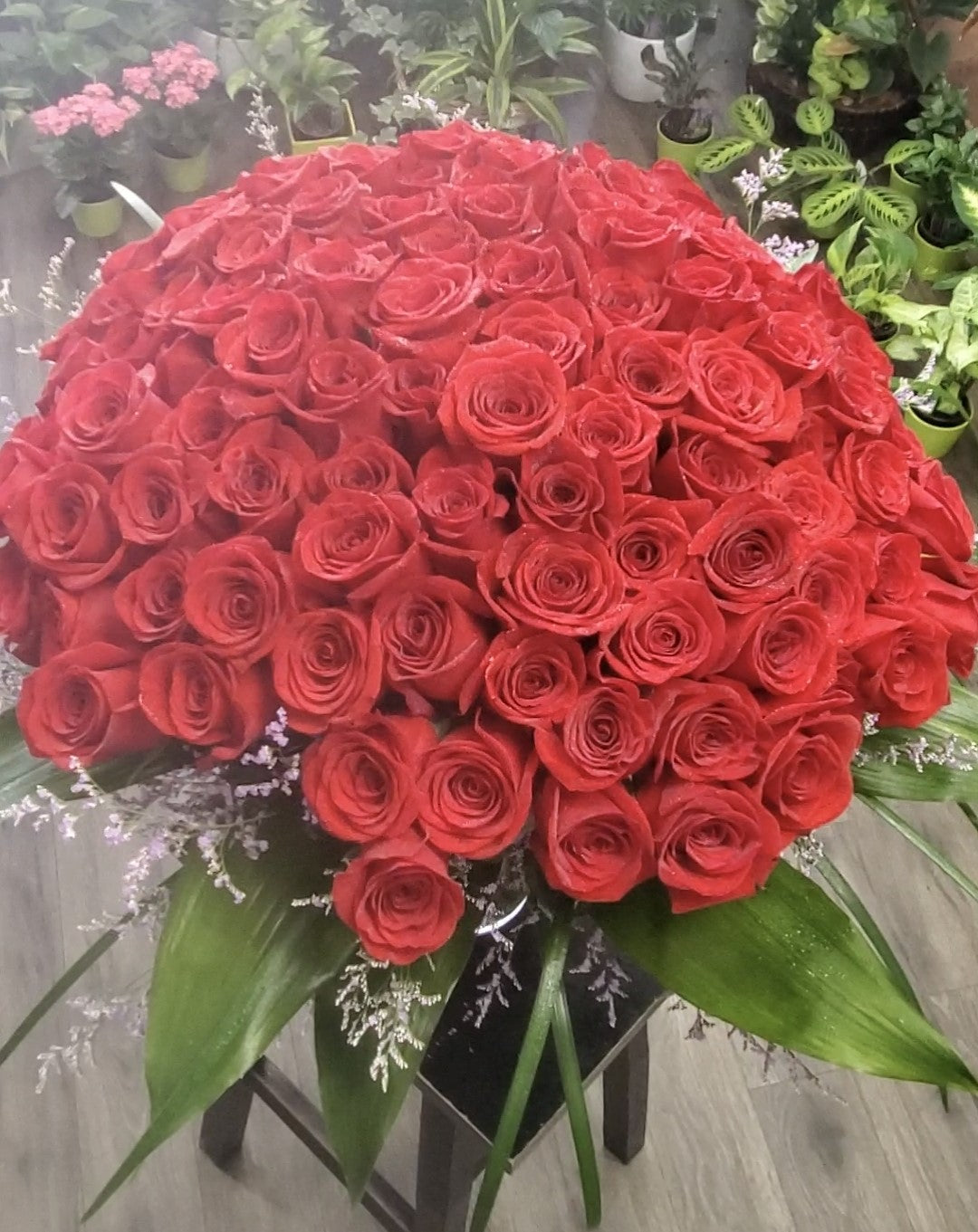 100 Red roses in a vase