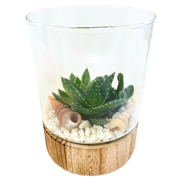 Wood Base Succulent Garden - Cylinder