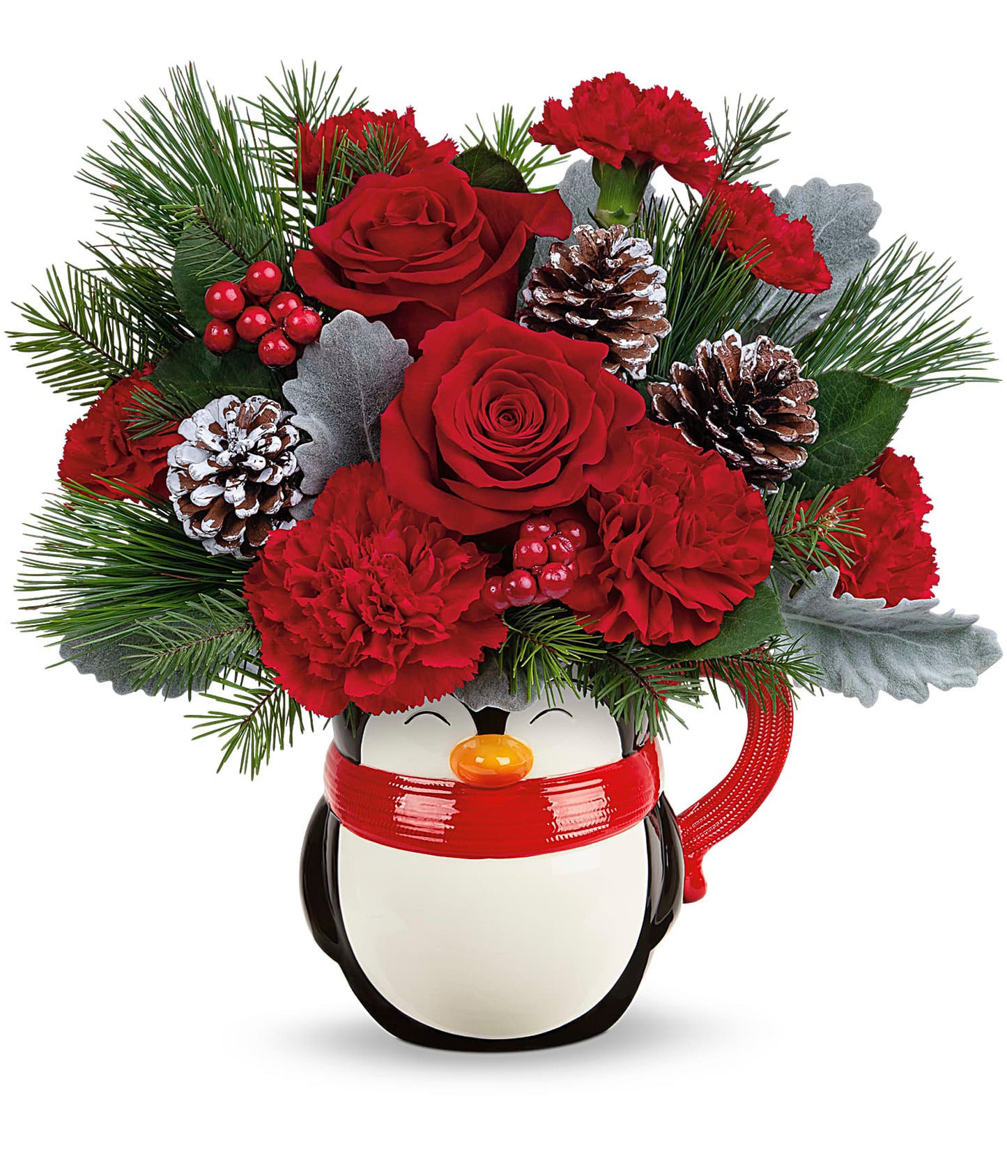 TELEFLORA'S SEND A HUG® NORTH POLE PENGUIN