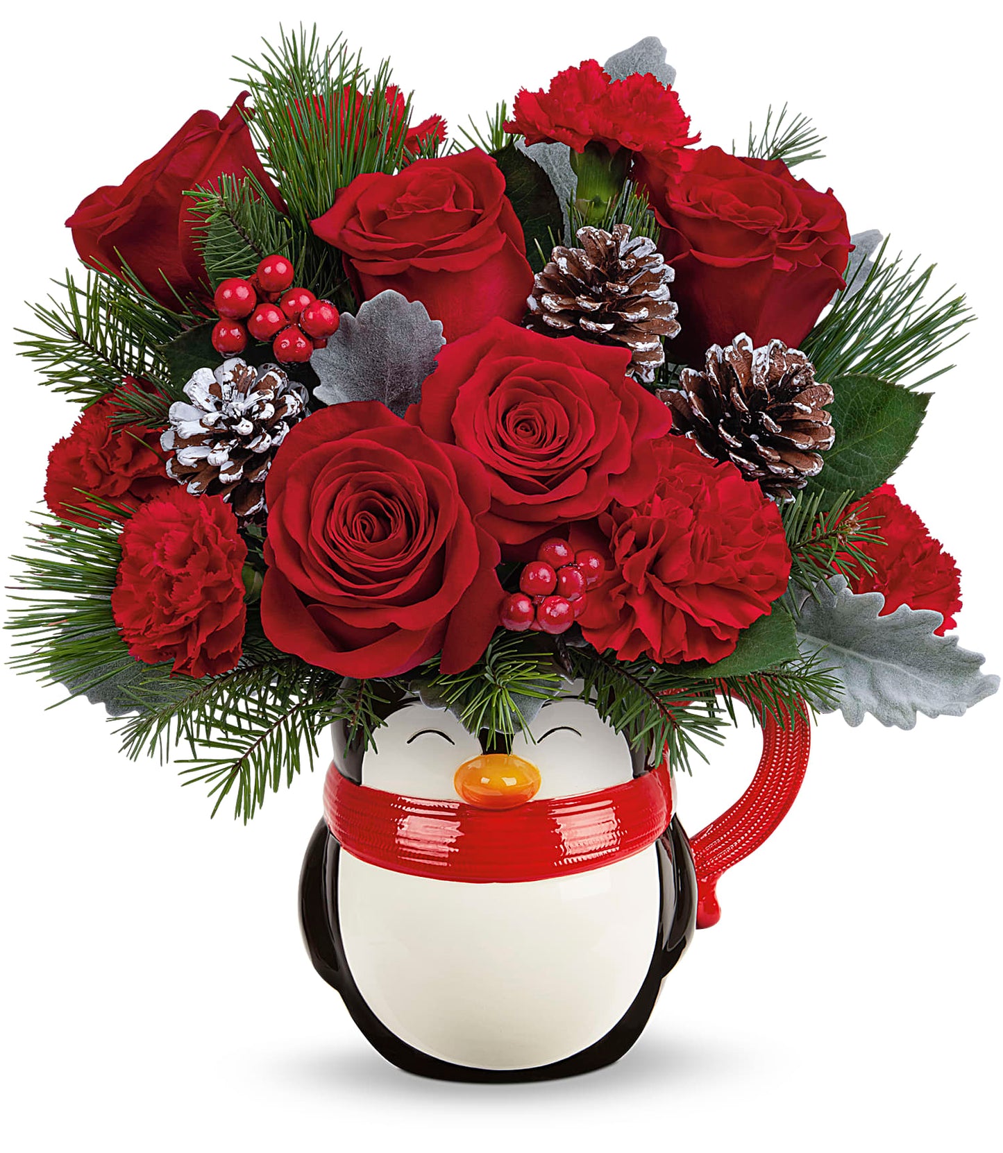 TELEFLORA'S SEND A HUG® NORTH POLE PENGUIN