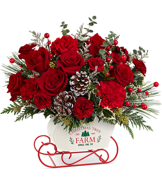 TELEFLORA'S SNOW WHAT FUN BOUQUET