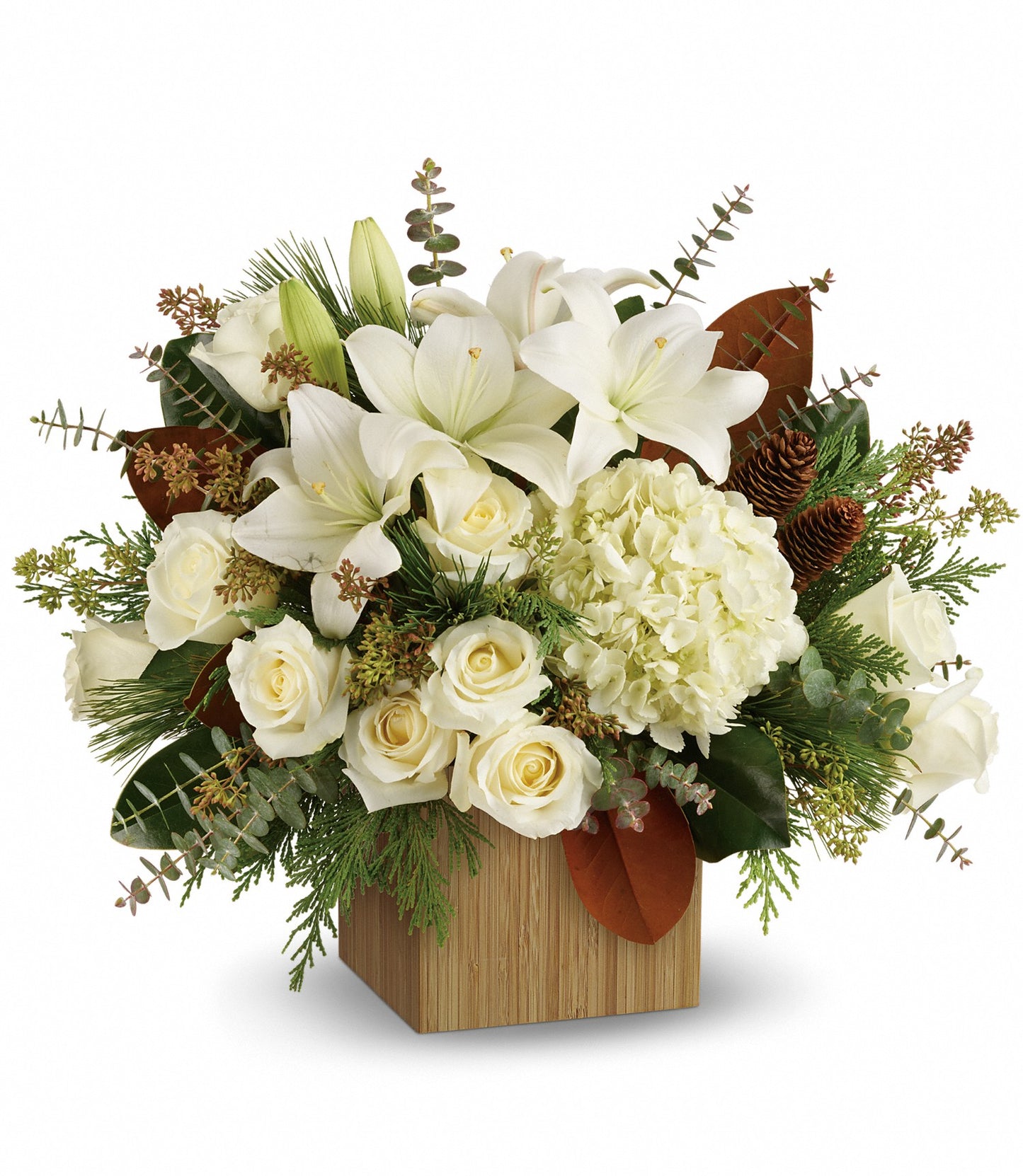 TELEFLORA'S SNOWY WOODS BOUQUET